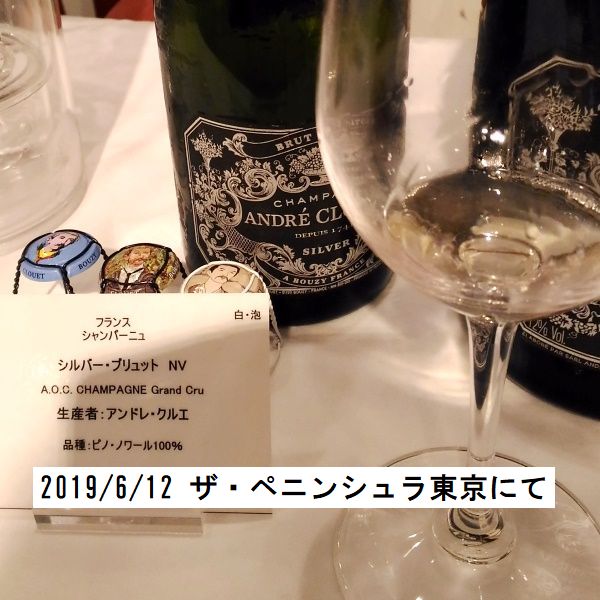 アンドレ クルエ シルバー ブリュット ナチュールN.V | リカープラザ
